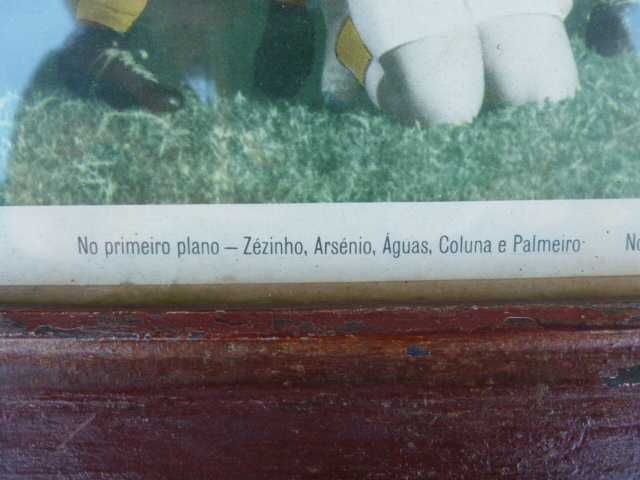 Quadro moldura muito antigo com equipa do Benfica ano 1954/55