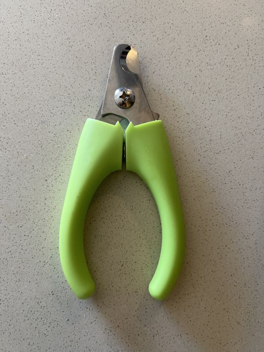 Tesoura unhas cão gato papagaio