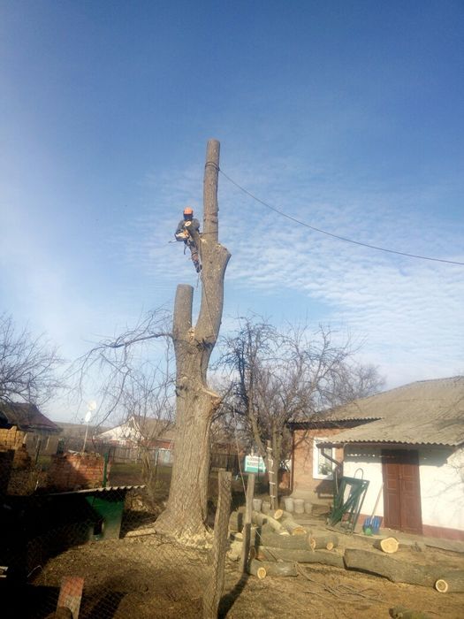 Спил аварійних дерев будь-якої складностi