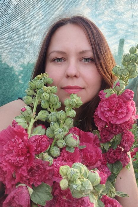 Насіння Мальви махрової-шток троянди