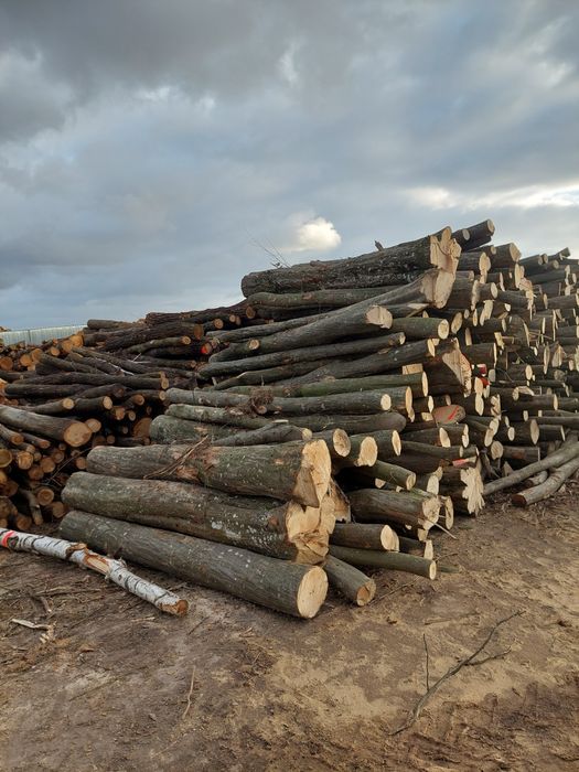 Drewno kominkowe opałowe drzewo Łęczna Świdnik Lublin Piaski Trawniki