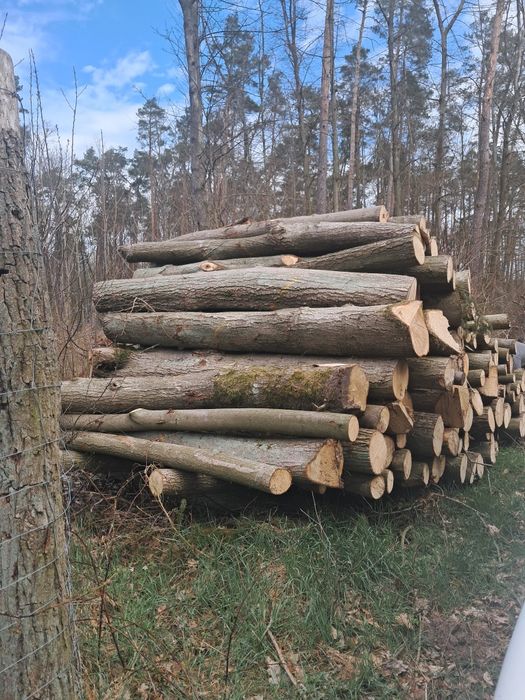Sprzedam drewno opalowe oraz ogniskowe,