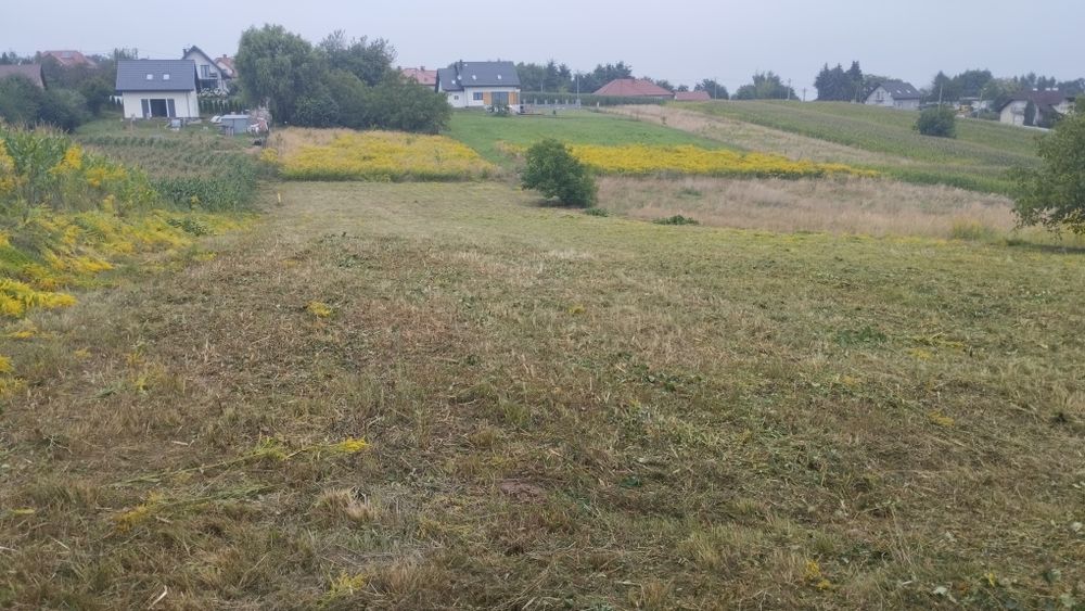 Koszenie nieużytków trawy, bijakowa kosiarka, karczowanie, wycinka,itd