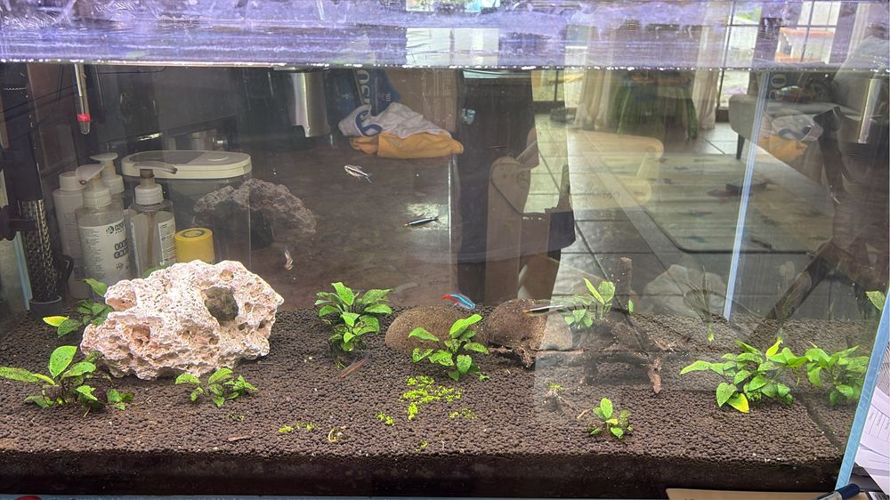 Aquario completo 120L