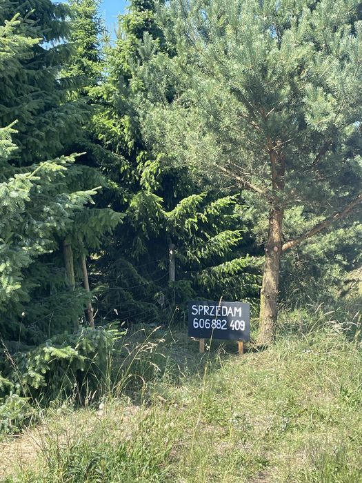 Działka nad morzem w Kołczewie - Więcej