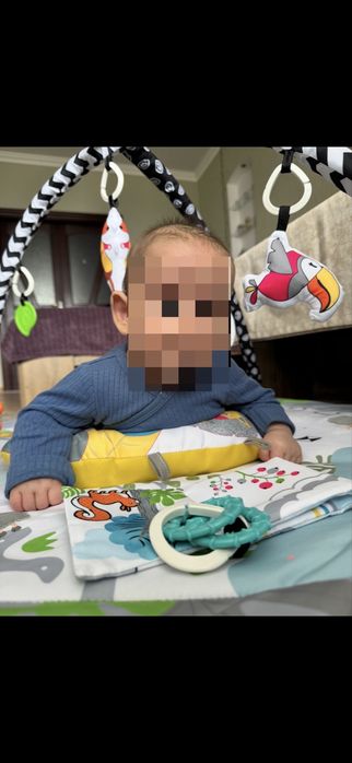 Розвиваючий дитячий килимок Besto MoMi