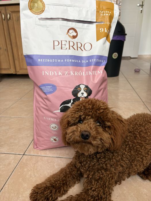 PERRO Junior Indyk z Królikiem 9 kg – karma premium dla szczeniąt, pełna