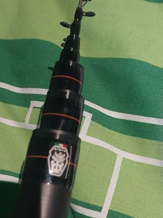 Bolonka Maver 6m