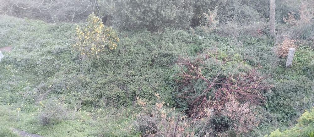 Moradia para Restauro