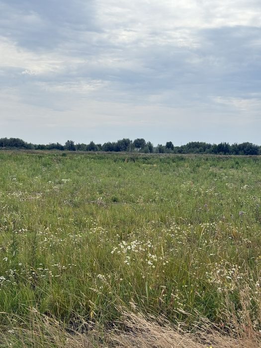 Продажа земельного участка Вышгородский район с.Осещина КМ Міжріччя