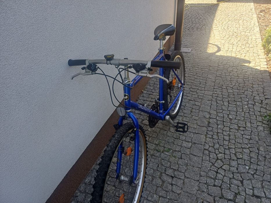 Rower GIANT Euro 1 Special Edition - Shimano