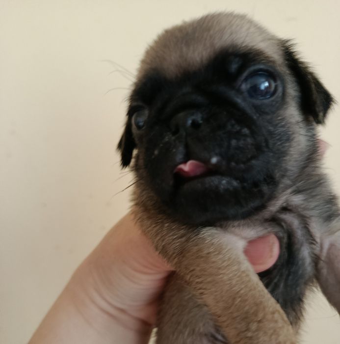 Шикарний хлопчик