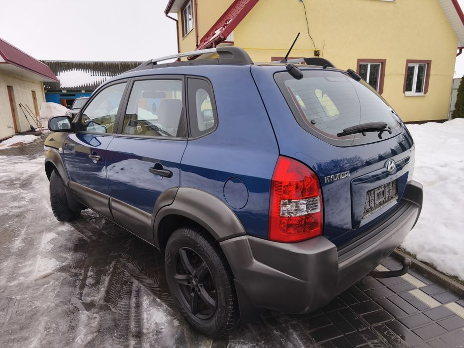 Свіжопригнаний з Голандії