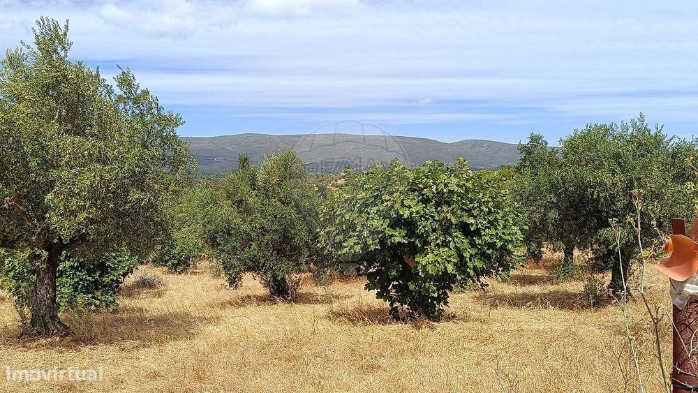 Terreno  para venda