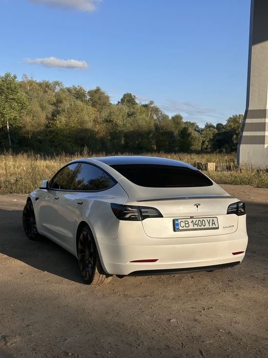 Tesla 3 Perfomance