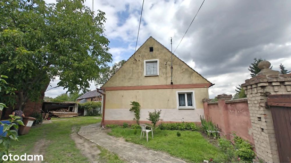 Zdjęcie 2