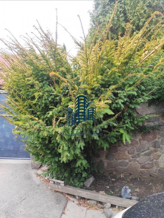 Оренда 2-поверхового будинку в мр-ні Яр!