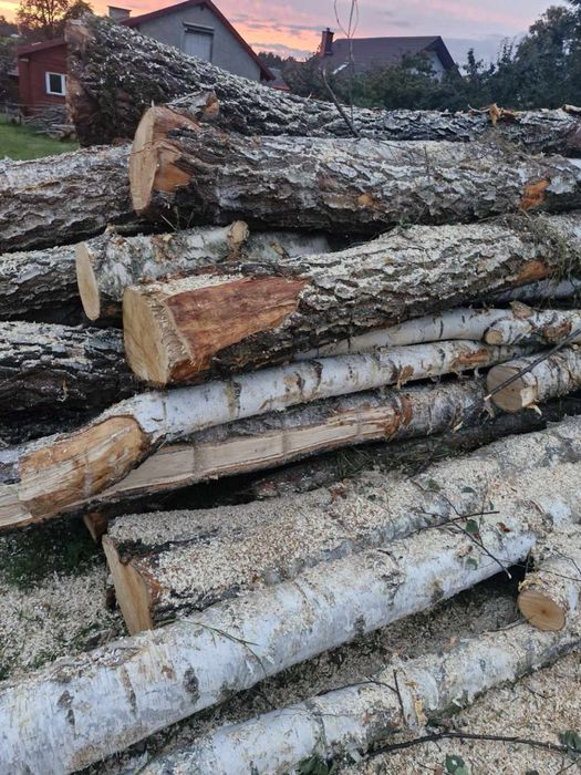 Promocja metr drewno juz od 180 zl