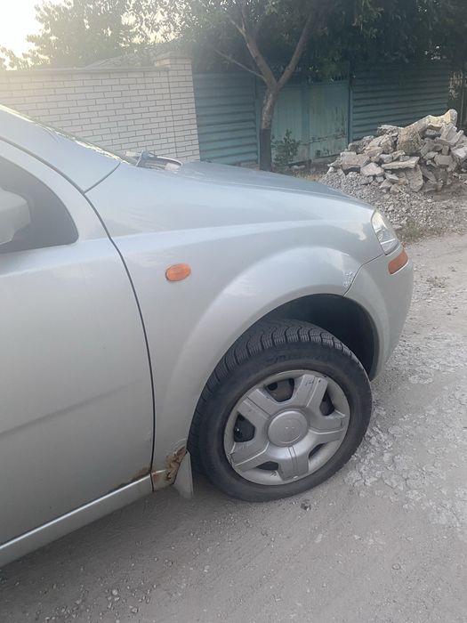 Авео.  1600 у.е.