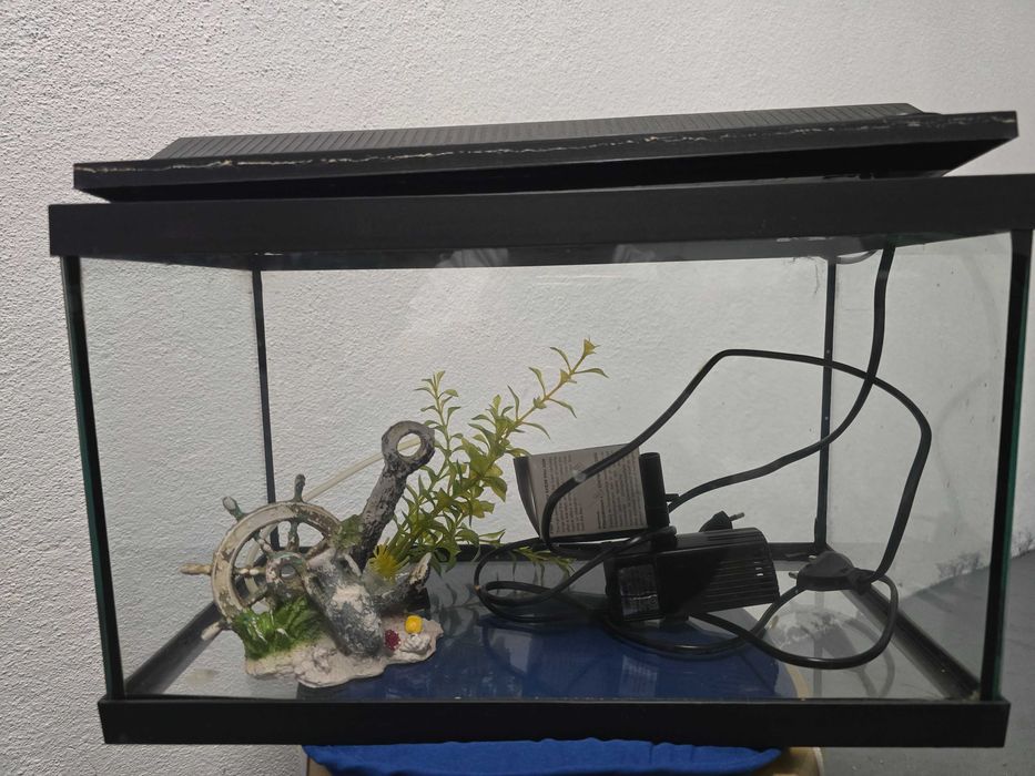 Aquario para peixes com acessorios