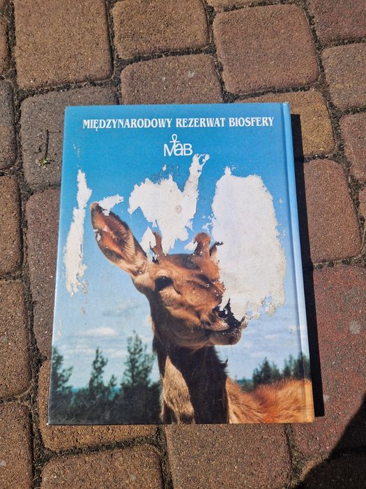 Książka Karpaty Wchodnie