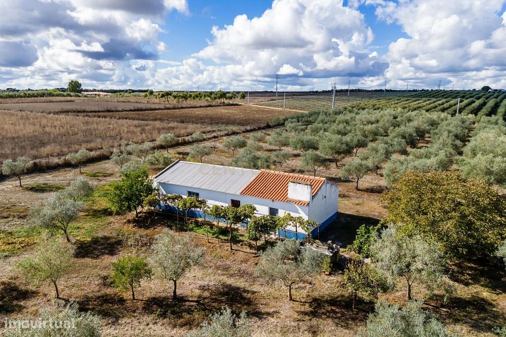 Monte Alentejano em Casa Branca, Sousel - 2 Quartos e Vista Campestre