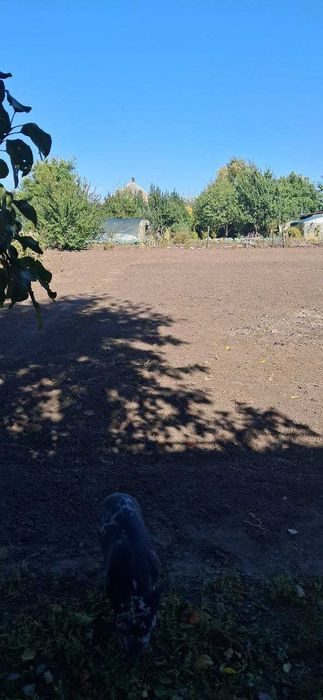 Продам дом для жизни или под дачу пгт Новопокровка