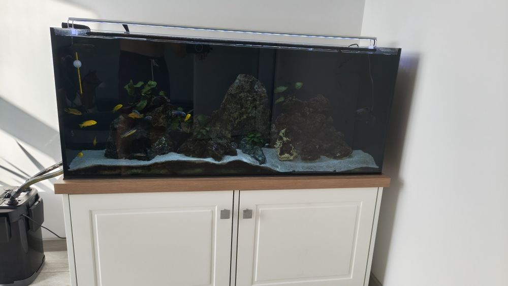 Akwarium MALAWI 240L (Kompletny Zestaw) • Stan Idealny • Filtr Aquael, Szafka od Stolarza