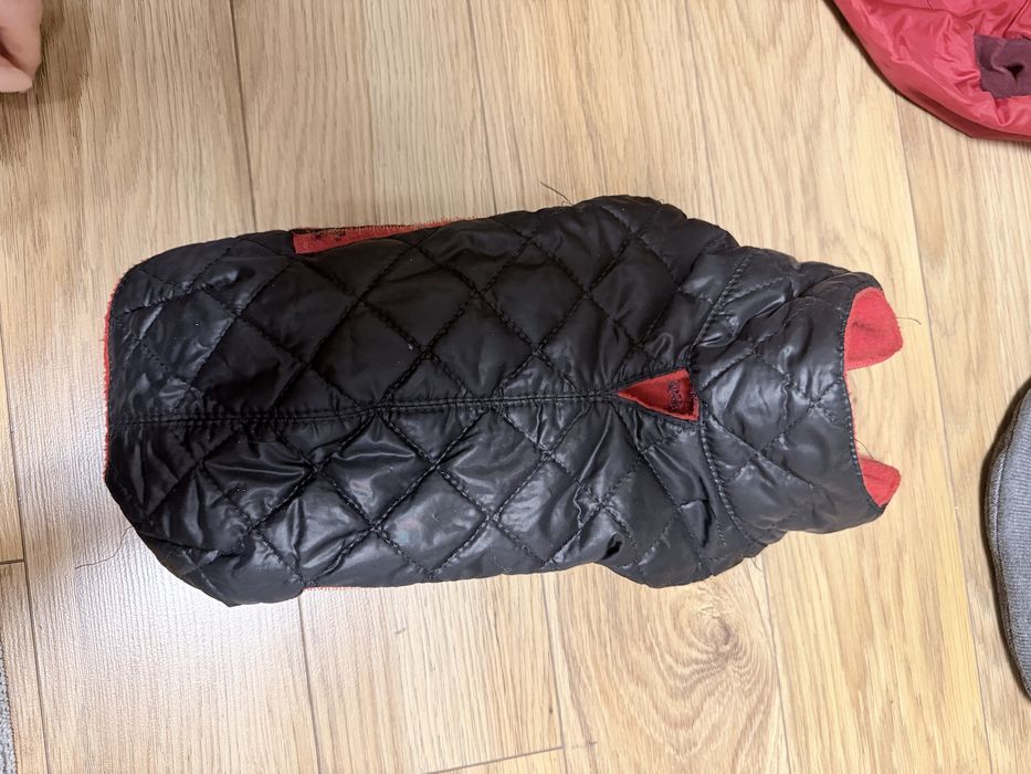 Zestaw kurtek dla pieska