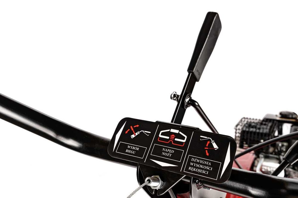 Glebogryzarka CEDRUS GL03PRO-LC Loncin 5,6 KM - 45 cm - OPOLE