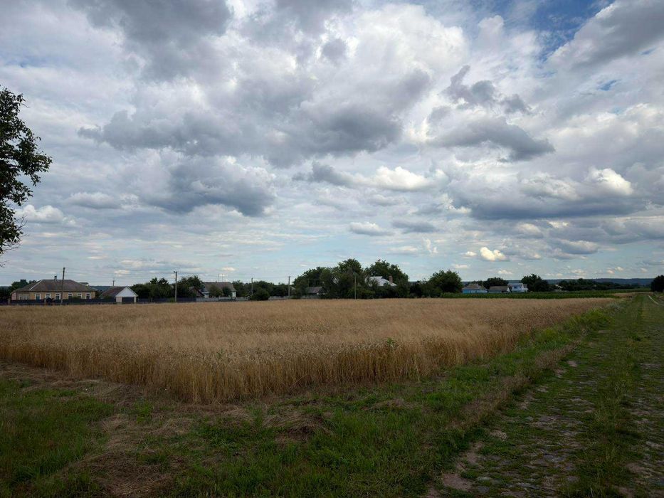 Будинок в зручному місці, с. Байбузи  (п3)