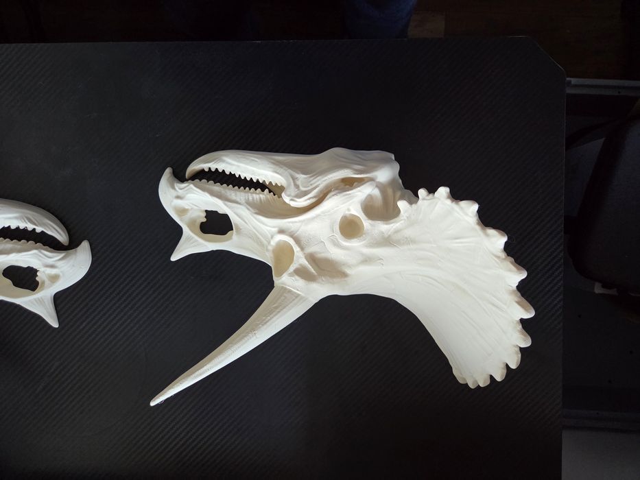 MEGA realistyczna CZASZKA TRICERATOPSA 3D 35cm – HIT!