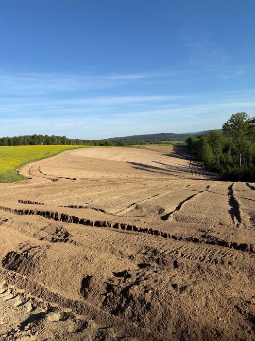 Mulczowanie, wycinka drzew i zakrzaczeń, karczowanie