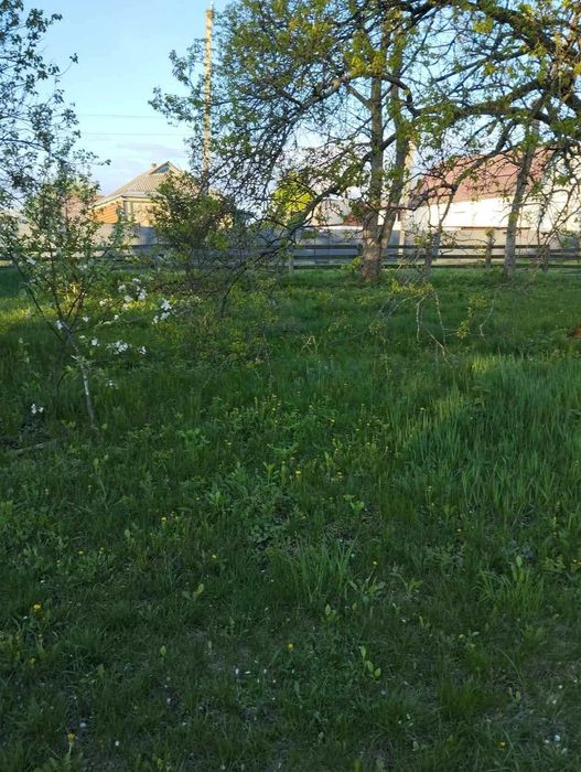 будинок + літня кухня + ділянка 56 соток + горіховий сад