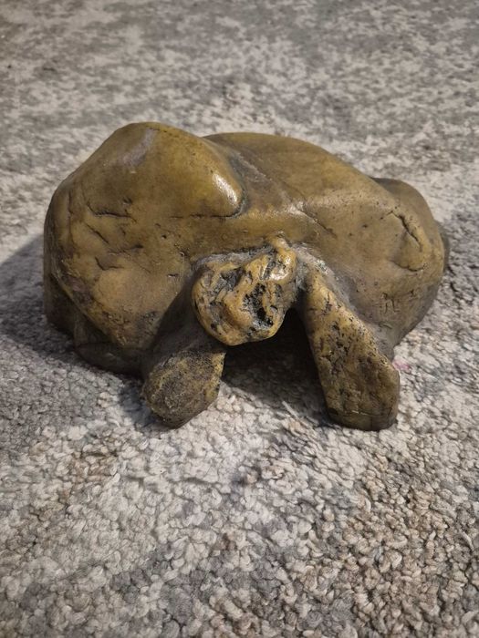 Kryjówki dla węża