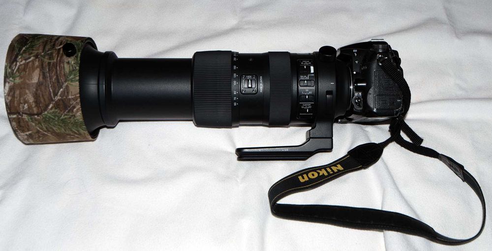 Sigma 60-600mm f/4.5-6.3 DG OS HSM Sports (Nikon F) + Nikon D7000
