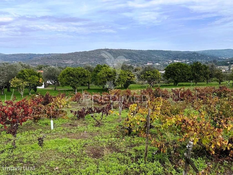 Quinta Rural T4