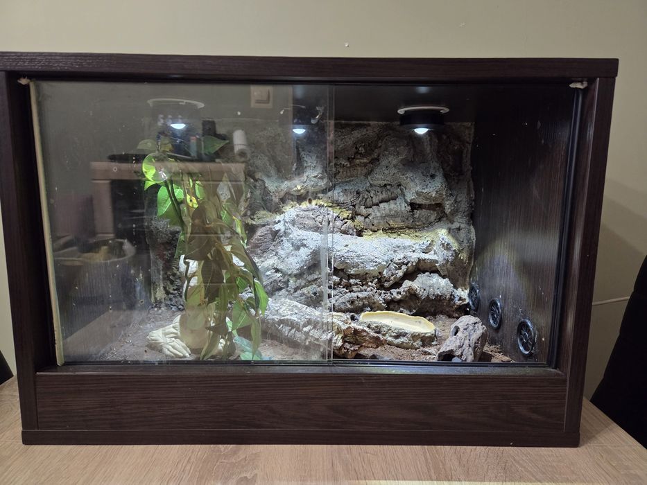 Terrarium 60x40x40