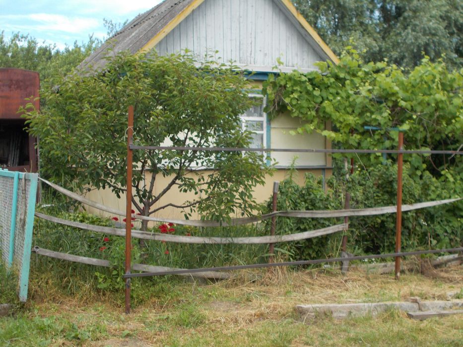 Продам дачну ділянку 5 сот річка Стрижень   вул Кільцева м Чернігів
