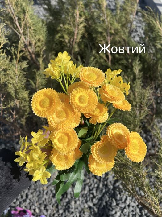 Квіти для декору маргаритки естетичний декор