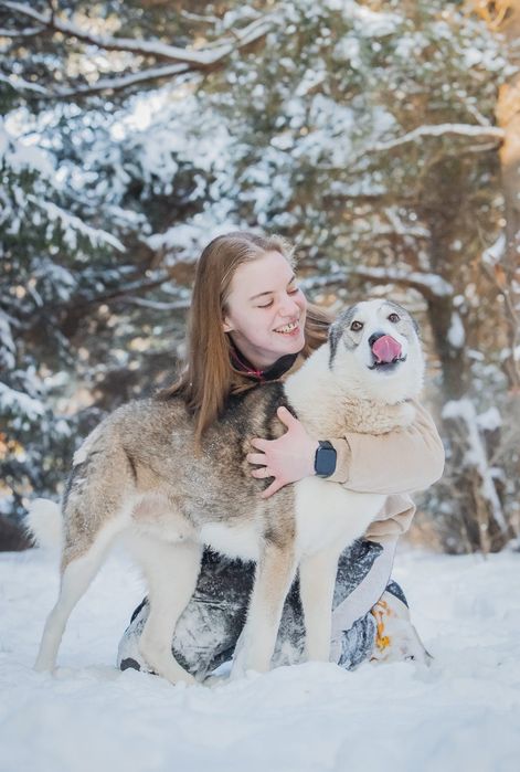 Aki - pies dla aktywnych