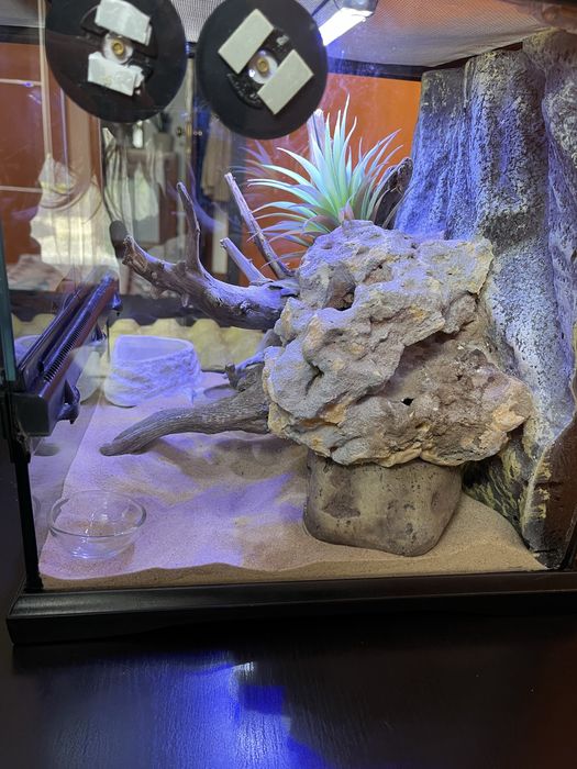 Terrário ExoTerra 30x30x30 – Totalmente Equipado