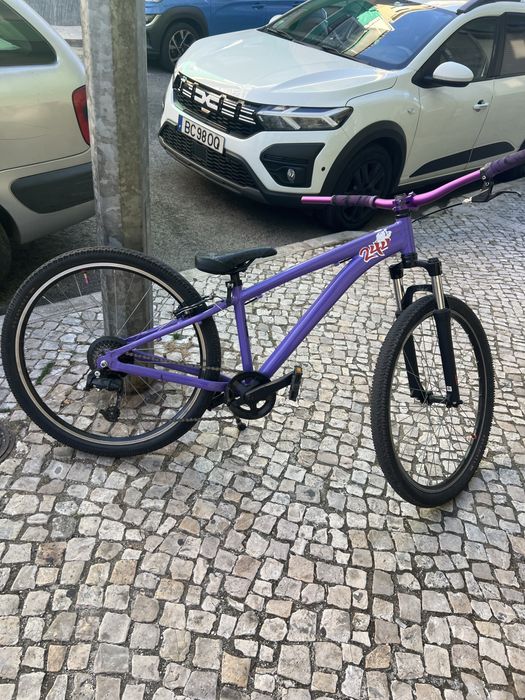 Rockerider roxa