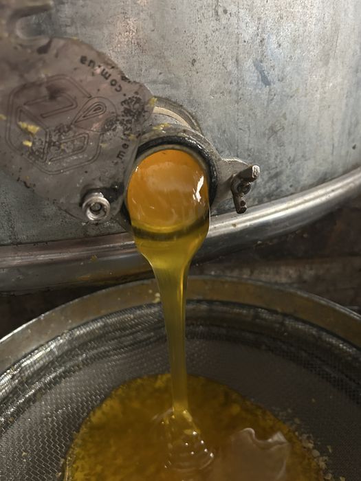 мед Акація Різнотравʼя Гречаний Липа