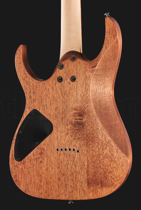 Ibanez RG421-MOL • Нова • Хіт продажів