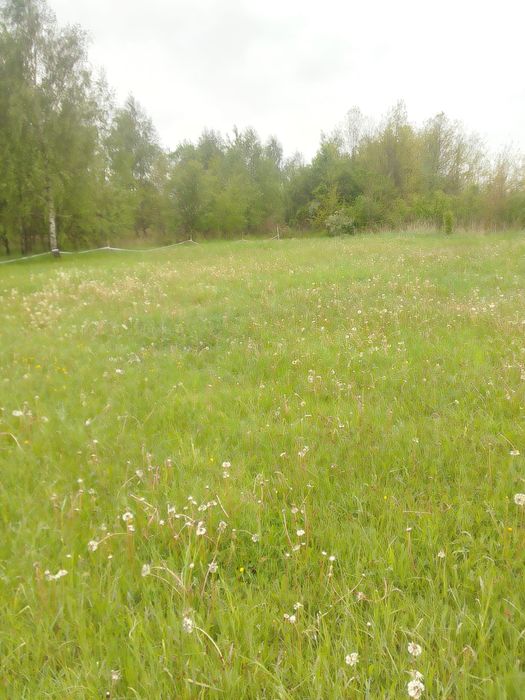 Działka budowlana Poręba 1185 m² - wszystkie media, asfalt, gotowa pod budowę! - Widok 3