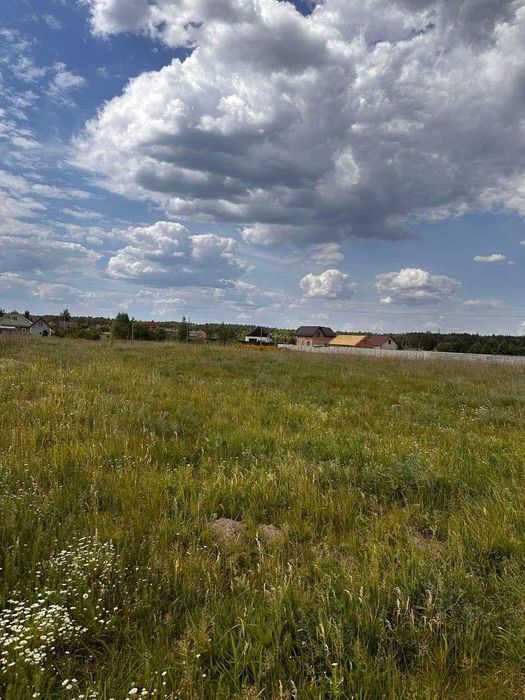 Продам земельну ділянку біля лісу!