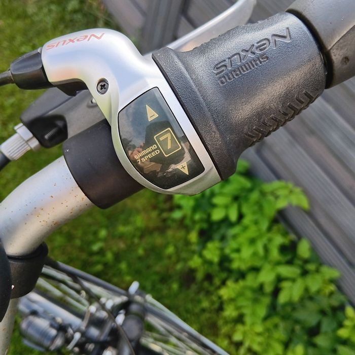 Rower Pegasus Milano