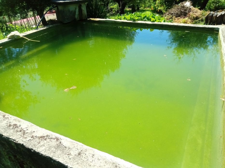 Casa para restaurar e terreno