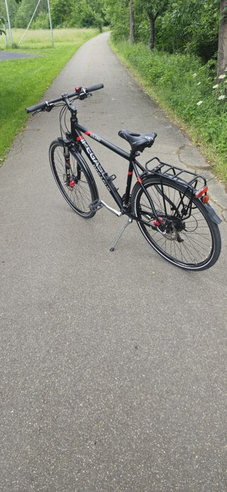 Rower Pegasus Solero